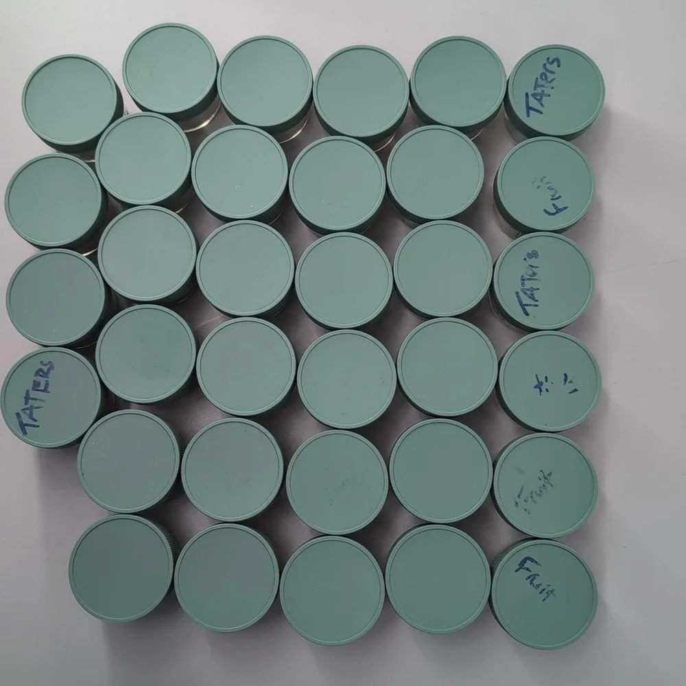 Sage Spoonfuls Glass Baby Food Storage Jars 4oz Lot of 34 Green Lids